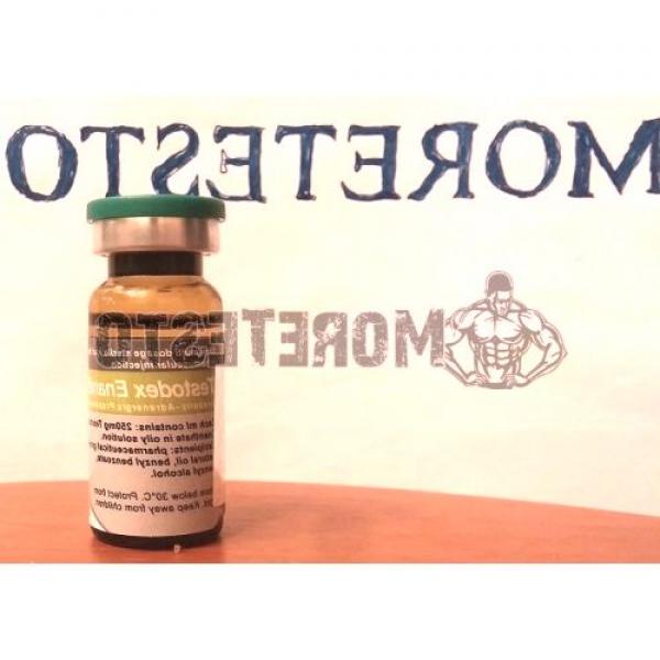 Testosterone Enanthate Testodex E by Sciroxx